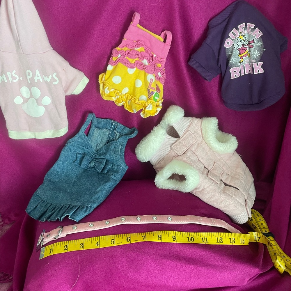 Sweet outfits for fur baby! Size: XS/S. Colorful,clean, fun and washable,